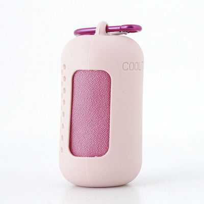 Pink Quick Dry Cooling Towel Set (2 Pack) - Microfiber Sport Towels with Silicone Cases & Carabiners V888-ELOSUNG27067