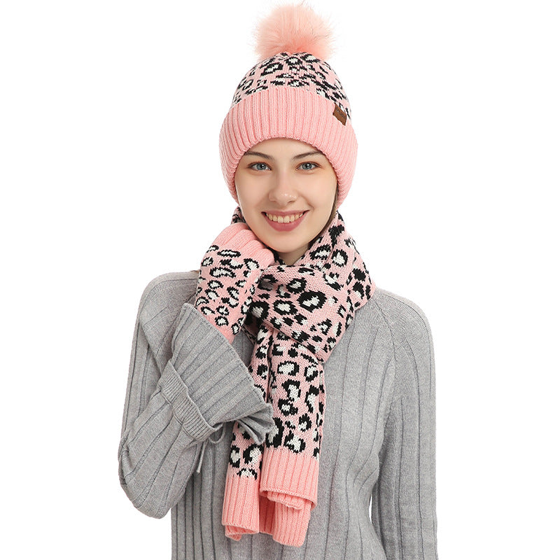 Pink Women's 3-Piece Winter Knit Set - Leopard Print Plush Lined Beanie Hat, Scarf & Touchscreen Gloves V888-ELOSUNG27167