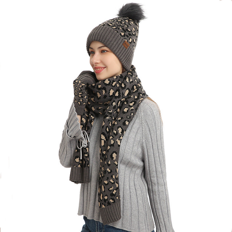 Dark Grey Women's 3-Piece Winter Knit Set - Leopard Print Plush Lined Beanie Hat, Scarf & Touchscreen Gloves V888-ELOSUNG27169