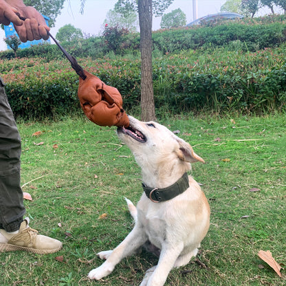 Black Durable Leather Dog Training Ball with Loop Handle - Interactive Bite & Tug Toy for Playful Pups V888-ELOSUNG27883