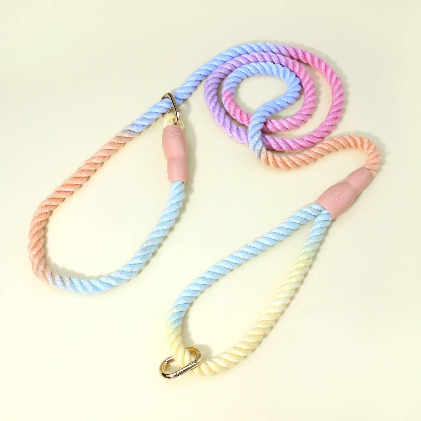 Colorful Vibrant Rainbow Ombre Rope Dog Leash - Durable Nylon P-Chain Slip Lead for Small & Medium Breeds V888-ELOSUNG27906
