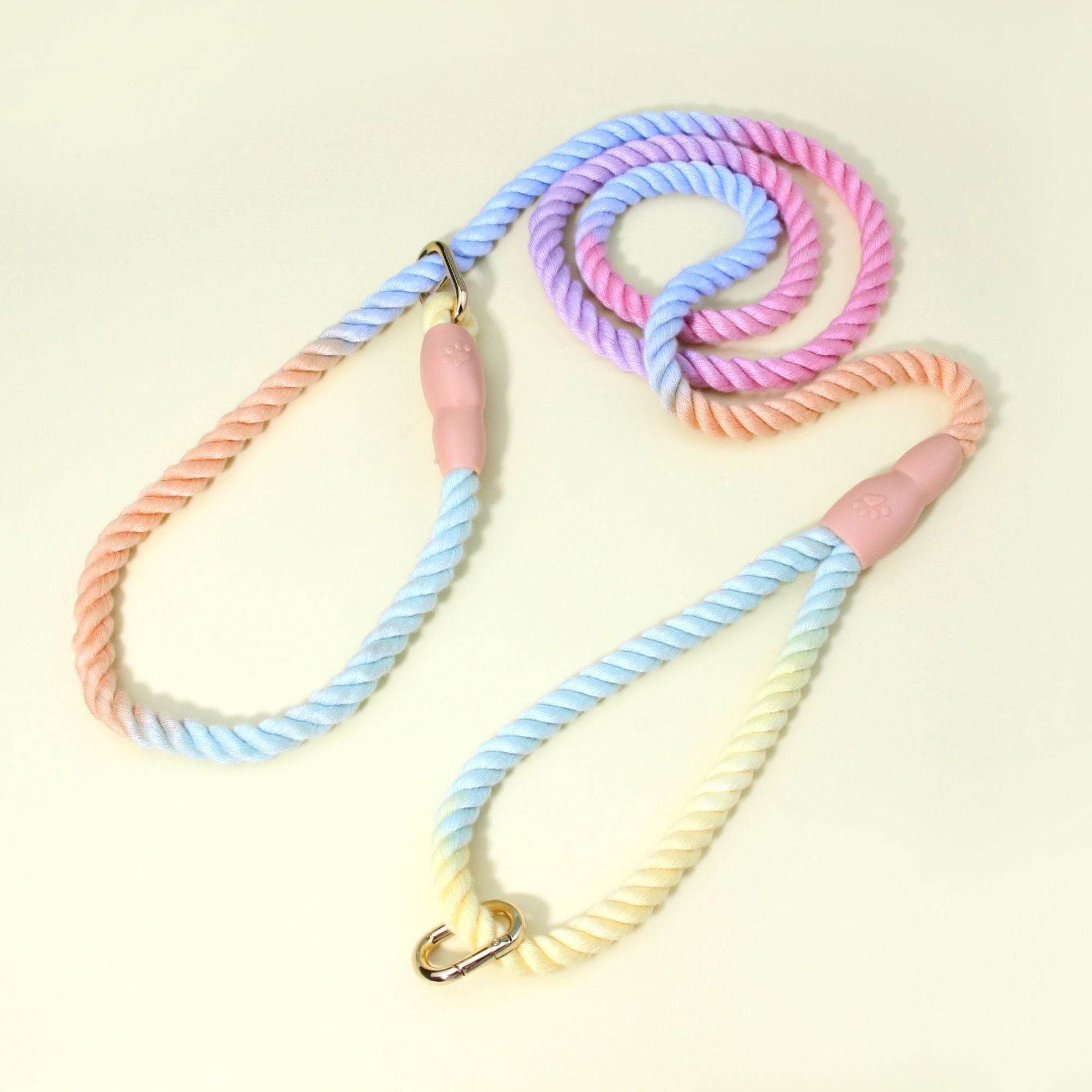 Colorful Vibrant Rainbow Ombre Rope Dog Leash - Durable Nylon P-Chain Slip Lead for Small & Medium Breeds V888-ELOSUNG27906
