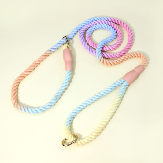 Colorful Vibrant Rainbow Ombre Rope Dog Leash - Durable Nylon P-Chain Slip Lead for Small & Medium Breeds V888-ELOSUNG27906
