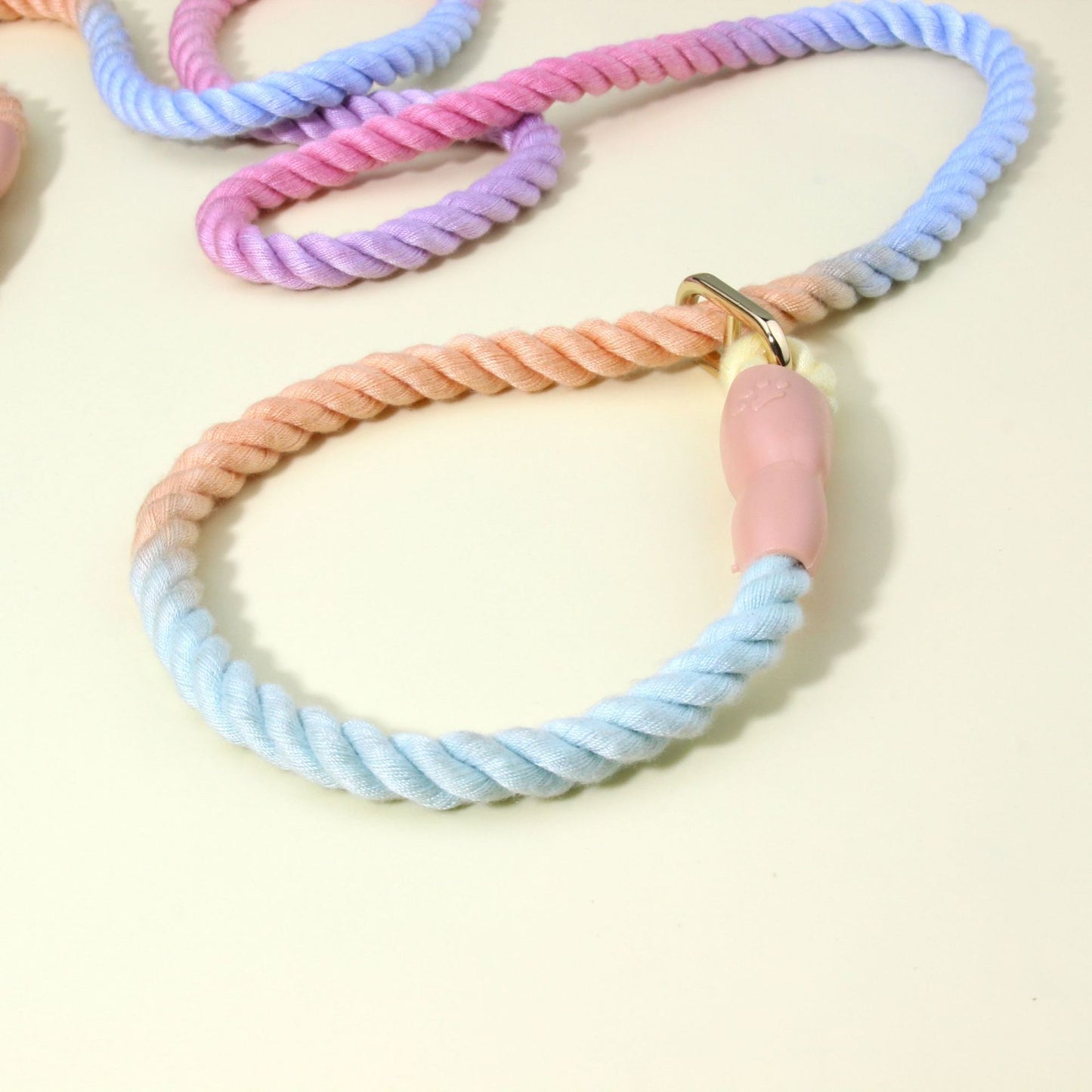 Colorful Vibrant Rainbow Ombre Rope Dog Leash - Durable Nylon P-Chain Slip Lead for Small & Medium Breeds V888-ELOSUNG27906
