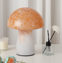 Speckled Orange Retro Swirl Glass Mushroom Table Lamp - LED Bedside Night Light V888-ELOSUNG28097