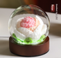 Gradient Light Pink Rose Knitted Flower LED Dome Lamp - USB Touch 3-Color Night Light V888-ELOSUNG28108
