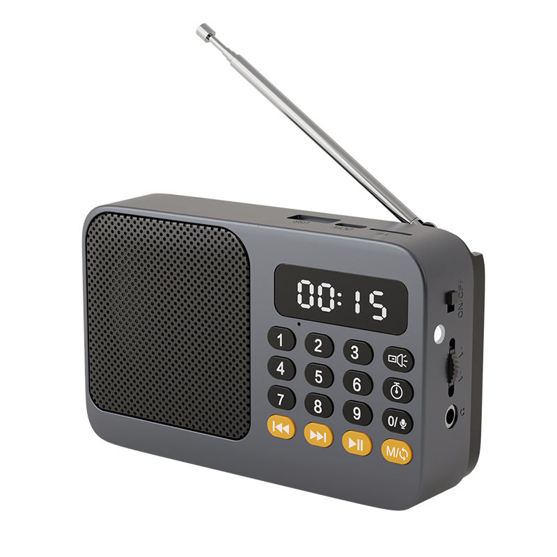Portable Digital Music Player & FM Radio,4 Playback Modes, LED Flashlight(Gray) V888-ELOSUNG29011