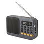 Portable Digital Music Player & FM Radio,4 Playback Modes, LED Flashlight(Gray) V888-ELOSUNG29011