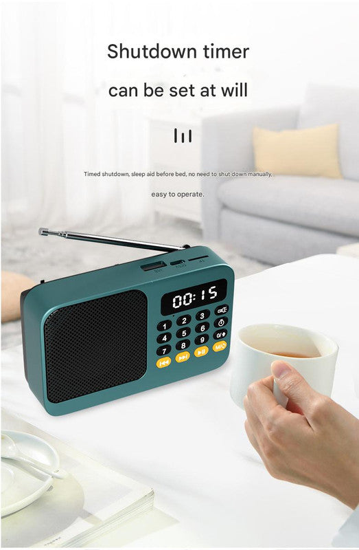Portable Digital Music Player & FM Radio,4 Playback Modes, LED Flashlight(Gray) V888-ELOSUNG29011