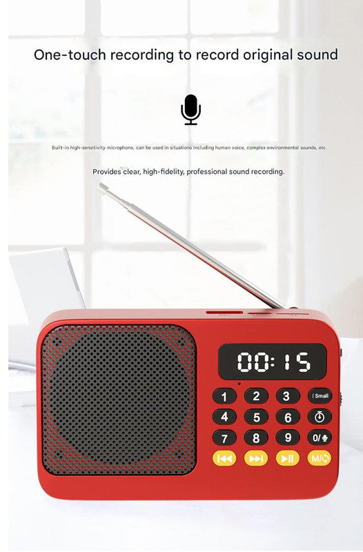 Portable Digital Music Player & FM Radio,4 Playback Modes, LED Flashlight(Gray) V888-ELOSUNG29011