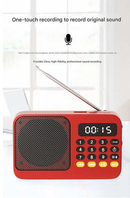 Portable Digital Music Player & FM Radio,4 Playback Modes, LED Flashlight(Gray) V888-ELOSUNG29011