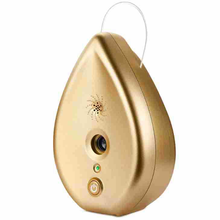 Automatic Ultrasonic Dog Bark Deterrent - Up to 50ft Range, Safe Frequency Conversion, Indoor Use(gold) V888-ELOSUNG29838