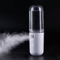 Two Portable Nano Facial Sprayer - 50ml USB Rechargeable Moisturizing Disinfectant Sprayer(white) V888-ELOSUNG29946