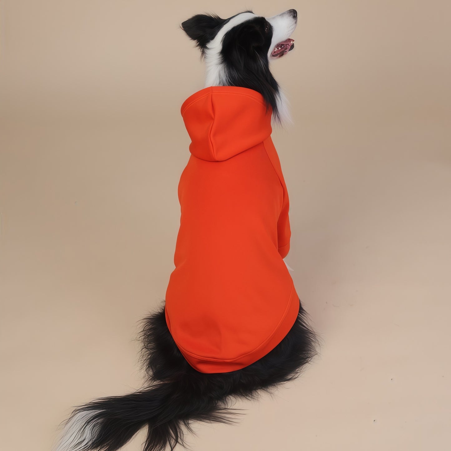 Orange Classic Dog Sweatshirt with Hood & Drawstrings - For Large Dogs (Size : 6XL) V888-ELOSUNG31062