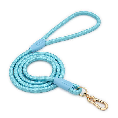 Blue Durable Nylon P-Collar Dog Training Set - Heavy Duty Leash & Martingale Collar (Size : M) V888-ELOSUNG31090