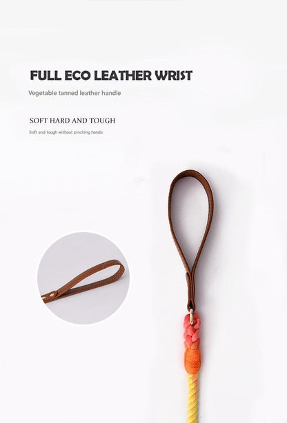Premium Leather Pet Collar and Leash - Soft, Strong Braided Rope (Honey orange - Size M) V888-ELOSUNG31274