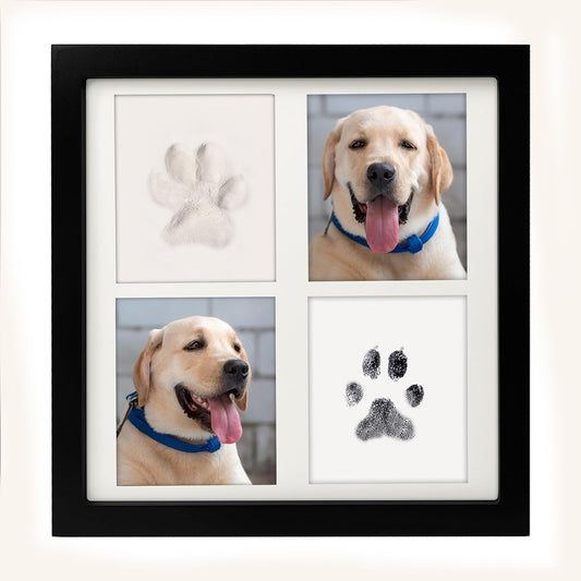Black and White Pet Paw Print Keepsake Photo Frame Kit - Mess-Free Ink Pad for Dogs & Cats, Dual Photo & V888-ELOSUNG32330