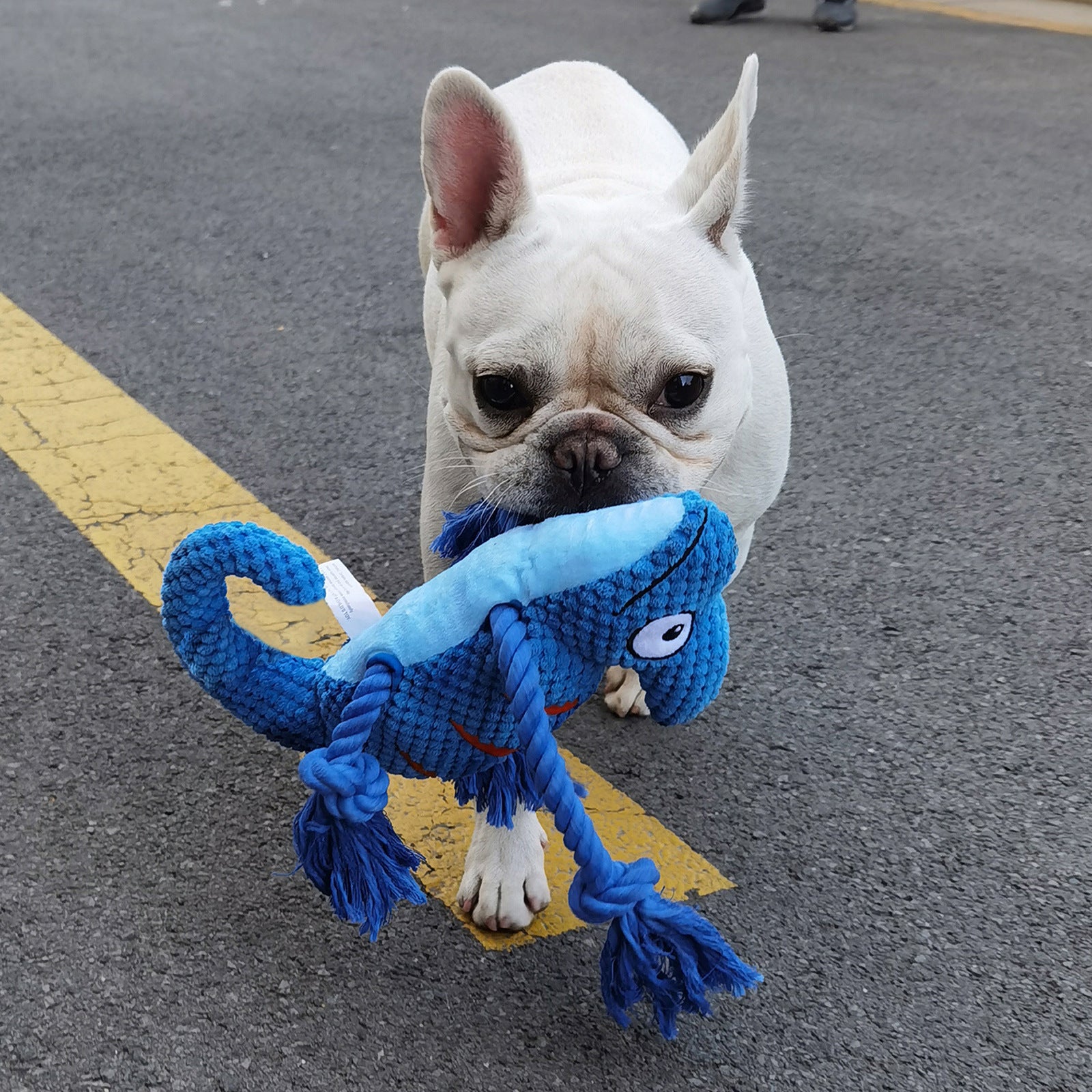 2 Pcs Yellow Interactive Plush Chameleon Dog Toy with Squeaker & Rope Legs - Durable Chew Toy for V888-ELOSUNG32699