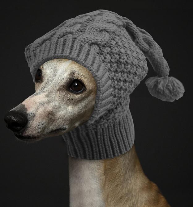 Size S Grey Whimsical Knit Dog Hat with Pom-Pom - Cozy Winter Pet Beanie & Snood V888-ELOSUNG32792