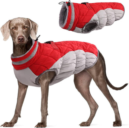 L Red Grey Premium Winter Puffer Dog Coat - Windproof & Fleece-Lined Jacket for Cold Weather V888-ELOSUNG33657