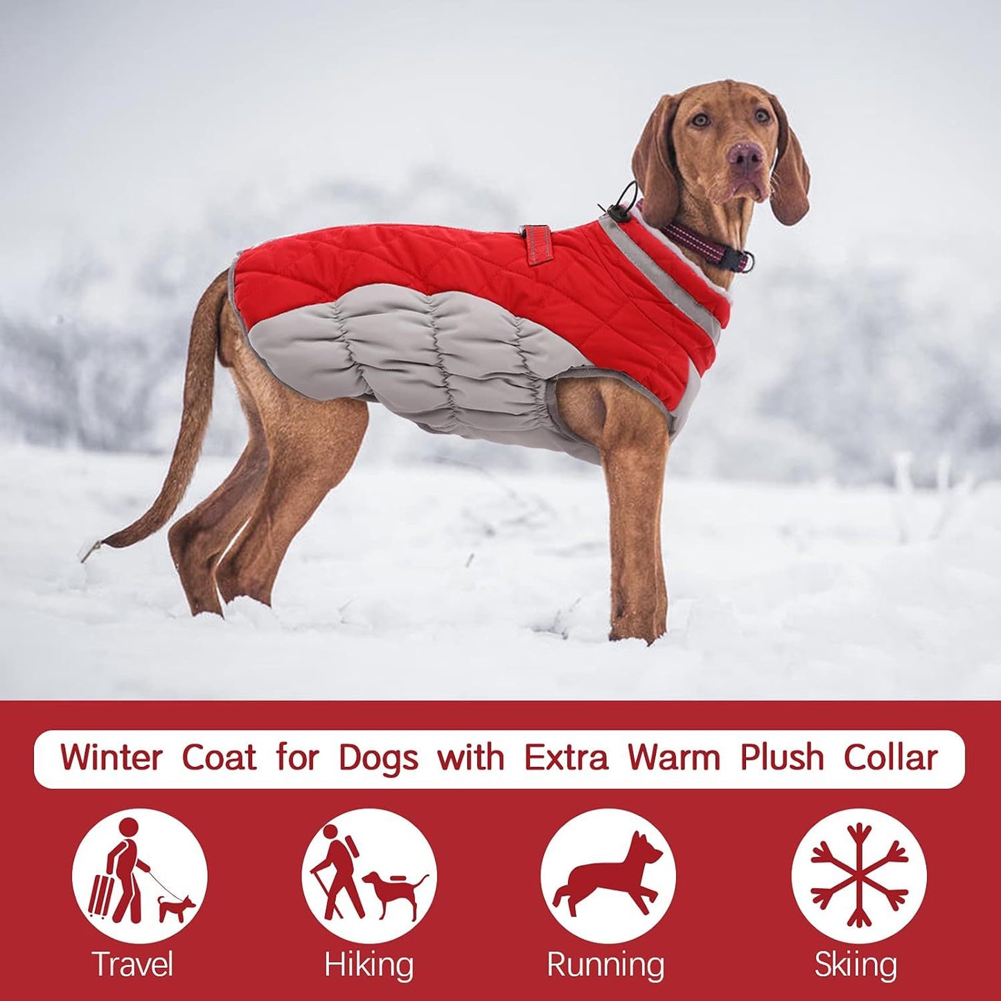 XXL Red Grey Premium Winter Puffer Dog Coat - Windproof & Fleece-Lined Jacket for Cold Weather V888-ELOSUNG33659