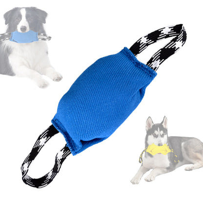 Blue Durable Dog Tug Toy with 2 Handles - Interactive Bite Pillow for Training & Tug of War V888-ELOSUNG33810