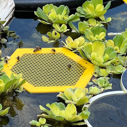 2PCS L 210x180x3.5mm Purple Floating Bee Saver Waterer - Safe Drinking Platform for Garden Ponds & Bird Baths V888-ELOSUNG33936