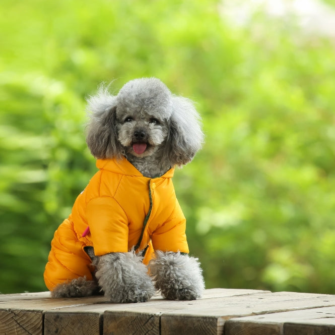 Turmeric Warm Puffer Dog Coat - Waterproof Four-Legged Winter Jumpsuit for Small Dogs V888-ELOSUNG34322