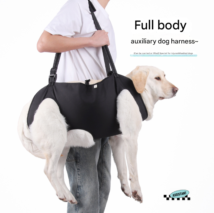 Green Pet Support Harness for Senior and Disabled Dogs - Adjustable Chest and Back Support Leash(Size M) V888-ELOSUNG34448