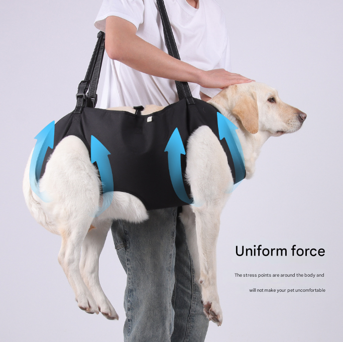 Green Pet Support Harness for Senior and Disabled Dogs - Adjustable Chest and Back Support Leash(Size L) V888-ELOSUNG34452