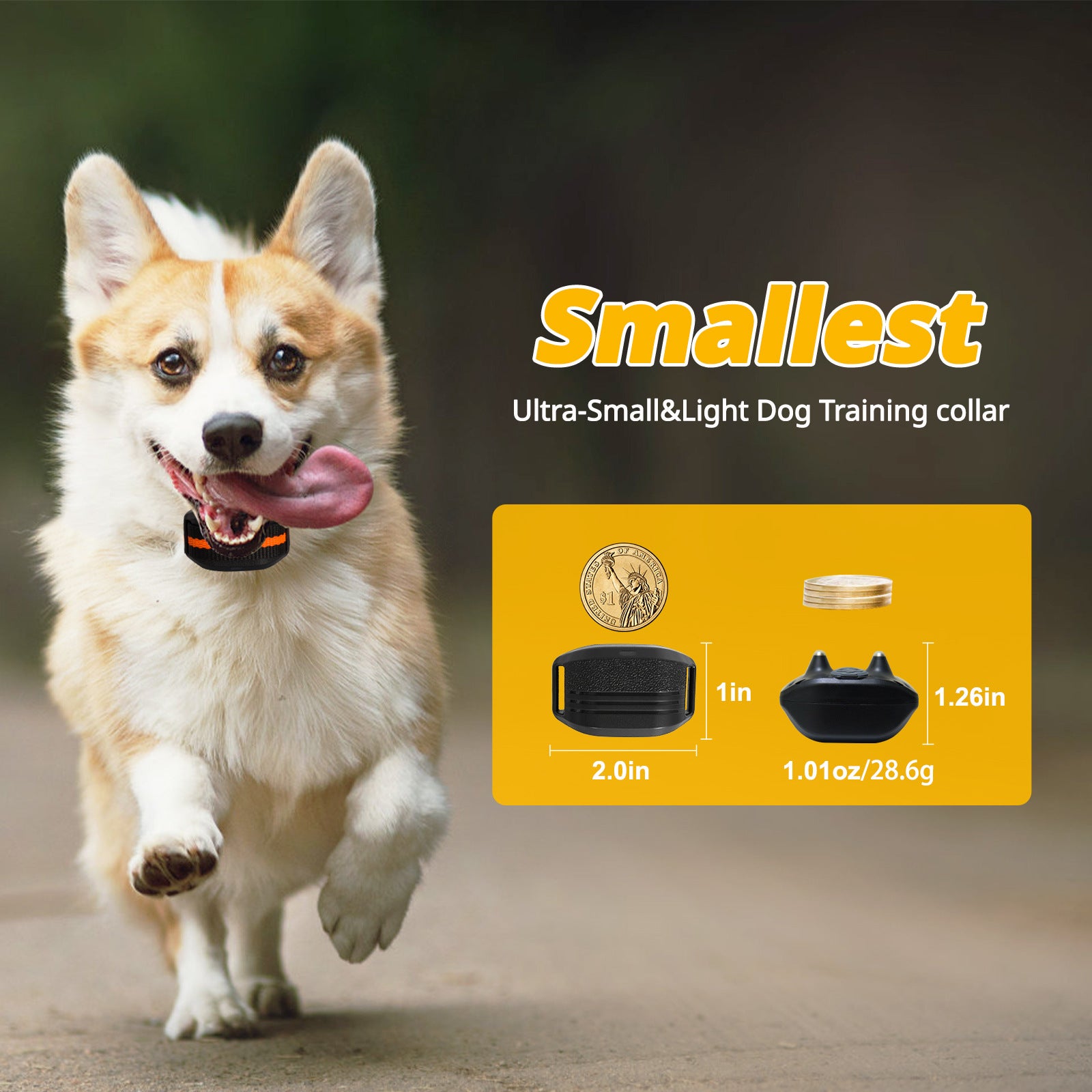 Ultra-Small & Lightweight Dog Training Collar with Remote - 3 Modes, Adjustable Levels, Fits All Sizes(black) V888-ELOSUNG35455