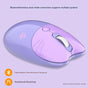 Cute Cat Shaped Wireless Office Mouse - Dual Mode 2.4G/Bluetooth, 3-Level DPI, Silent Click(purple) V888-ELOSUNG35561