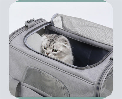 Foldable Soft-Sided Pet Carrier for Travel - Fits Cats & Small Dogs Under 6kg, with Removable Plush Bed & V888-ELOSUNG35855