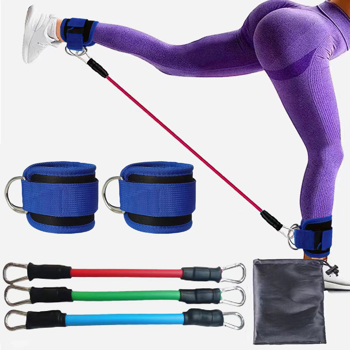 Blue Silver SnapResistance Bands Set with Ankle Straps for Glute Kickbacks & Leg Workouts (10-30lbs) V888-ELOSUNG38121