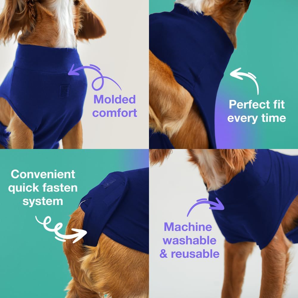 XS Blue Premium Pet Physiological Suit - Comfortable & Breathable Bamboo Modal Recovery Suit V888-ELOSUNG38149