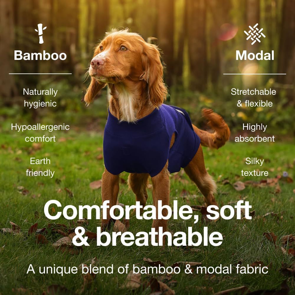 XS Blue Premium Pet Physiological Suit - Comfortable & Breathable Bamboo Modal Recovery Suit V888-ELOSUNG38149