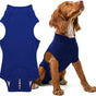 M Blue Premium Pet Physiological Suit - Comfortable & Breathable Bamboo Modal Recovery Suit V888-ELOSUNG38152