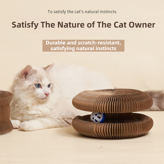 2-Pack Creative Accordion Cat Scratcher (Cat Head Design, 23x23x10CM) - Reversible Honeycomb Material Scratch V888-ELOSUNG39406