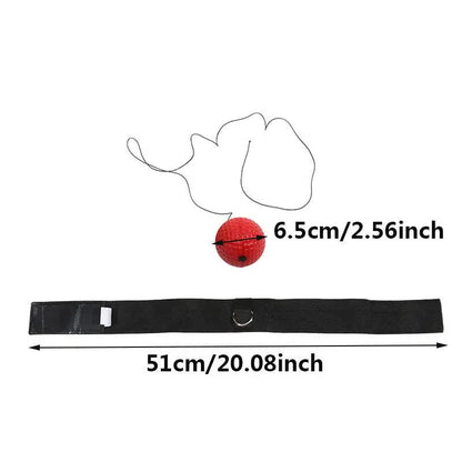 Boxing Reflex Ball Set(Elastic Headband + 2 Heavy RedBalls + 2 Light BlackBalls) - Hand-Eye Coordination and V888-ELOSUNG39430