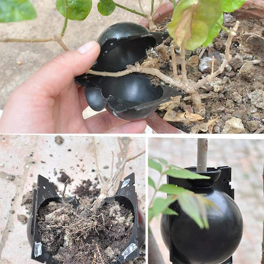 5-Pack Black Reusable Plant Air Layering Propagation Pod (Diameter: 5cm) - Anti-Waterlogging Grafting Root V888-ELOSUNG39736