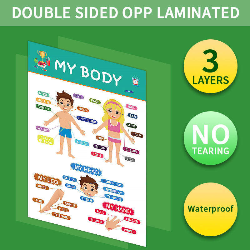 12-Pack Educational Posters for Kids - Laminated Preschool & Kindergarten Learning Charts - ABCs, Numbers, V888-ELOSUNG40143