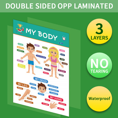 12-Pack Educational Posters for Kids - Laminated Preschool & Kindergarten Learning Charts - ABCs, Numbers, V888-ELOSUNG40143