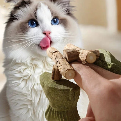 Brown and green 5 Pack Cat Catnip Toys Fish Bone Shaped Silvervine Chew Sticks for Teeth Cleaning and V888-ELOSUNG40566