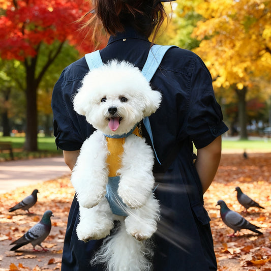 Blue and white two-tone style Pet Carrier Backpack Front Chest Pack Legs Out Breathable Mesh for Small Dogs V888-ELOSUNG40706