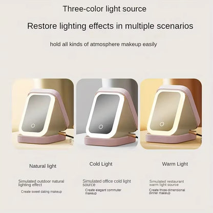 Pink Portable LED Makeup Mirror with Jewellery Storage Box Touch Screen Adjustable Light Travel Cosmetic V888-ELOSUNG40802