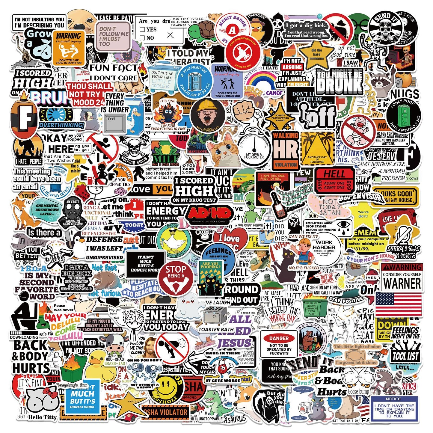 300 Pcs Prank Meme Graffiti Stickers Pack - Waterproof PVC Personalized Decals for Laptop, Luggage, Water V888-ELOSUNG42279