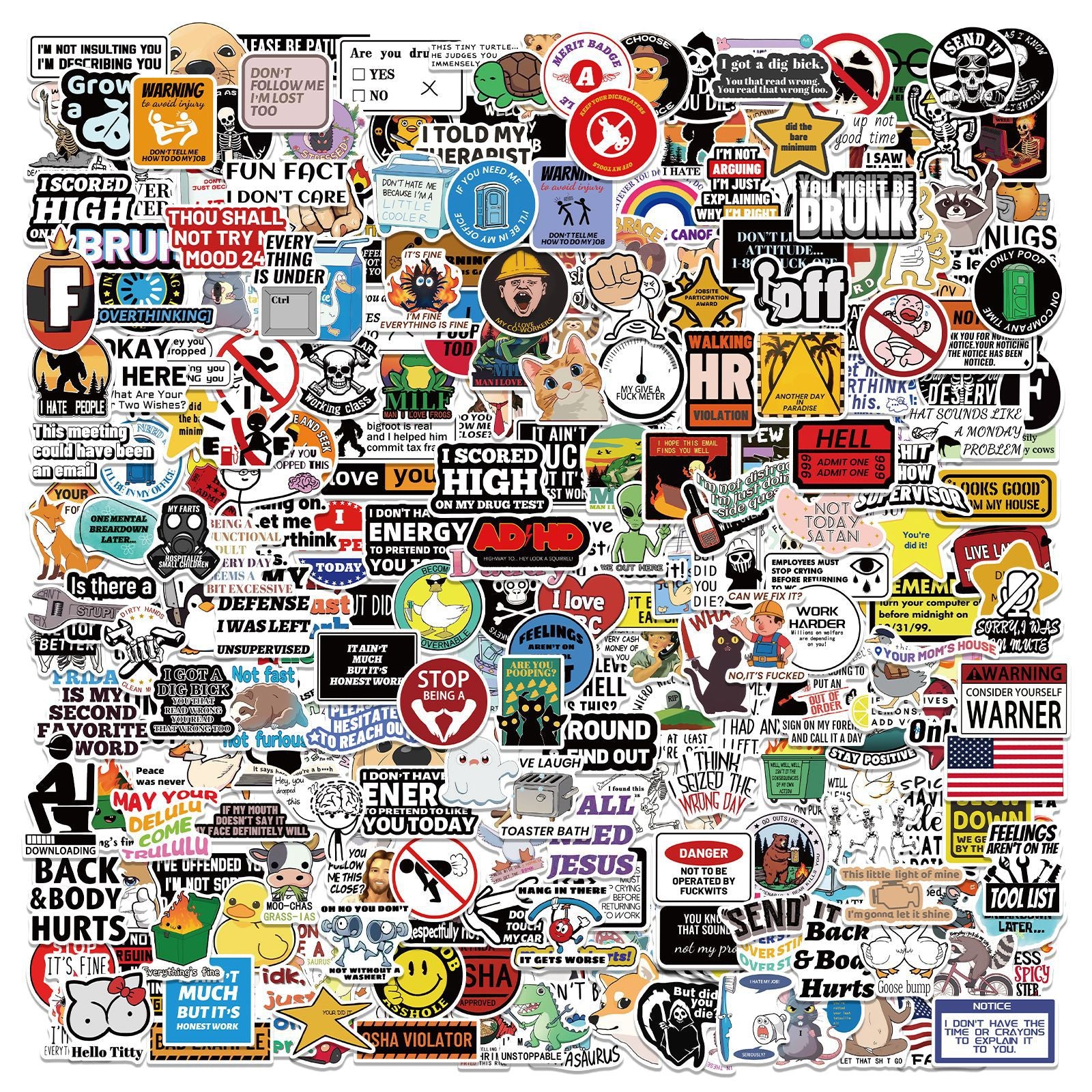 300 Pcs Prank Meme Graffiti Stickers Pack - Waterproof PVC Personalized Decals for Laptop, Luggage, Water V888-ELOSUNG42279