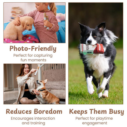 2-Pack Funny Cigarette Box Squeaky Dog Toy - Soft Plush Interactive Molar Toy, Crinkle & Squeak Boredom V888-ELOSUNG42824