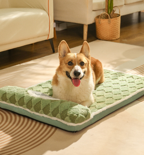 Thickened Soft Pet Bed Mat M Size Light Green Comfortable Dog Sleeping Pad Washable Cushion for Medium Dogs V888-ELOSUNG44557
