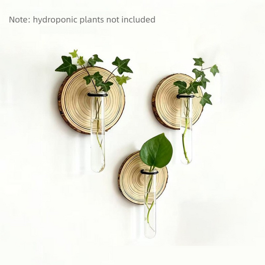 3-Pack Wall-Mounted Hydroponic Plant Test TubeFlower Pot for Indoor Plants & Cuttings V888-ELOSUNG45205